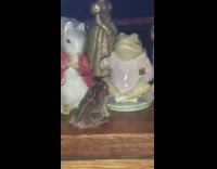 Frog staring at frog figurine
