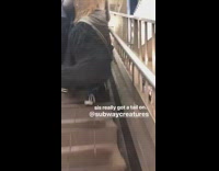 Girl runs up subway stairs with tail on 