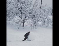 Guy at park struggles to roll snowball 