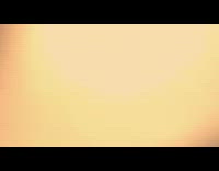 Bat flies towards girl filming 