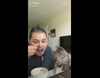 Cat steals food from guys spoon bowl
