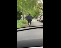 Car follow man ride bike black raincoat