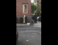 Guy in Clown and Bird Costume Walks down Street Slowly 