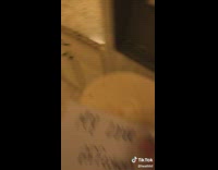 Collab BitchMP - Tortilla Face Throw Dad Couch