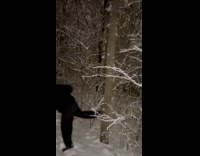 Man kicks tree snow fall from branch
