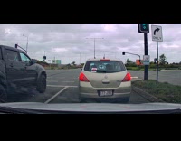 Three dogs jump from car on road