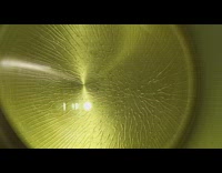 Oil inside pan reacts to music vibration