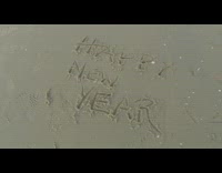 go pro dog on wheelchair on beach walking 