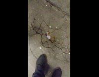 Collab DailyDoseOfInternet - Crack in bridge cars drive by below