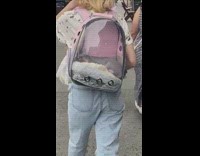 Lady wears see-through backpack with hairless cat inside 
