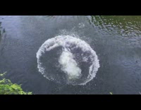 Collab SendItSociety - Rainbow shirt guy front flip rock lake 