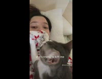 Collab Clips mpugc - Cat trying to cover owners face with blanket