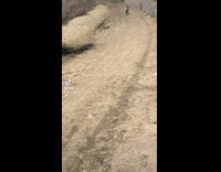 Collab VIBES - Little boy falls off bike down hill fail 