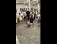Shirtless guy worm dance floor wedding reception