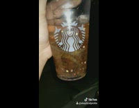 starbucks cup full of live shrimp 