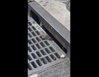 Rat next to sewer 