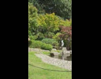 Woman white dress fountain park pictorial line