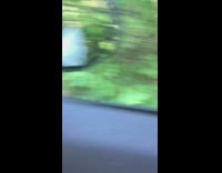 Daughters buy kitten dad Fathers day