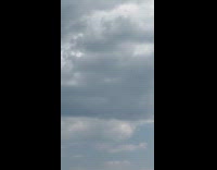 Lots of dragonfly fly on sky overcast