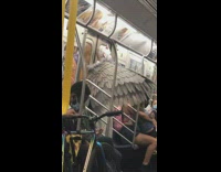 Guy in huge wings stands in train 