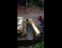 Collab WeirdM - Wood moved pickup truck trunk slide down