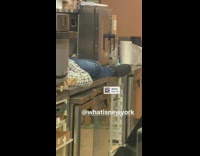 Man sleeping on counter at convenience store next to microwave