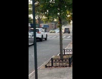 Collab WINY - Car smokes in middle of the road