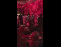 new york fashion week red rose wall