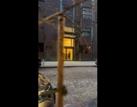 Collab WINY - Person wear red bird costume on street