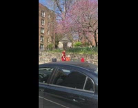 Guy cuts hair bench sidewalk red pants