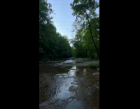 A hike through Natural Bridge State Park