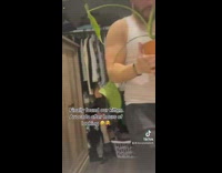 Cat hiding in flower pot on top of cabinet 