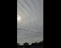 Man amused with cirrocumulus clouds