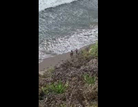 Two guys wrestle at the beach