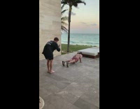 guy push ups yoga hotel beach