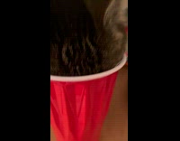 Collab DoingThings - Gray Cat playing with a red cup