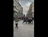 Flash mob danced in the middle of the park