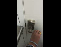 Black dog outside of door with pigtails and green shirt 