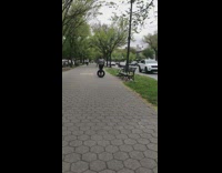 Lady Works Out with Car Tire 