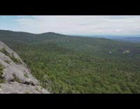 Collab DailyDoseOfInternet - Drone flies over mountain covered in trees 