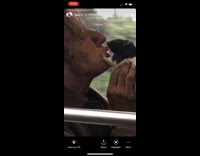 Collab Subway Creatures - Old lady kisses rat on the mouth found off street on bus