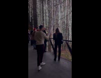 Woman poses Christmas lights hang on tree