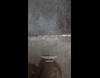 Woman run on street in the rain