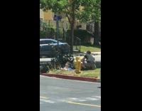 Two women photo shoot pet dog sidewalk curb