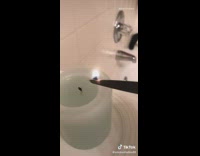 Girl cuts off candle fire with scissors