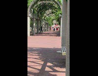 Woman white top photo shoot intimate wedding