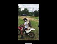 Dog sits on dirt bike and holds onto kid 