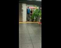 Collab WINY - Man Drags Tall Plants inside Subway Train