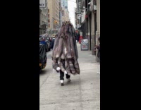 Man walk on street carry many raccoon furs