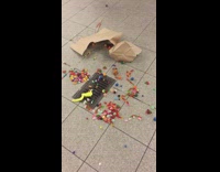 Ripped bag full of candy and one chicken wing on subway station floor